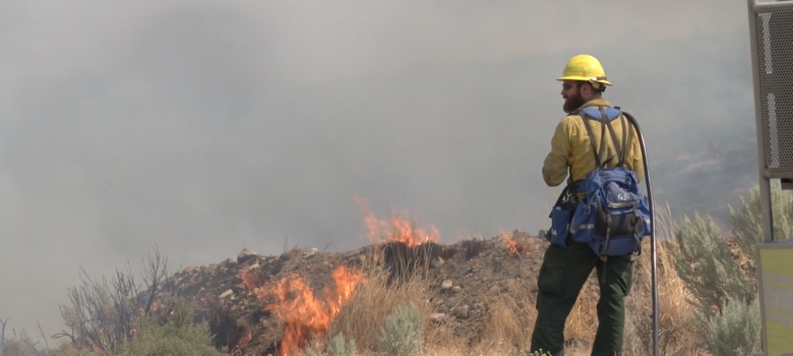 A screenshot of a firefighter managing a wildlife. Photo by: Bureau of Land Management/ National Interagency Fire Center. This photo is public domain.